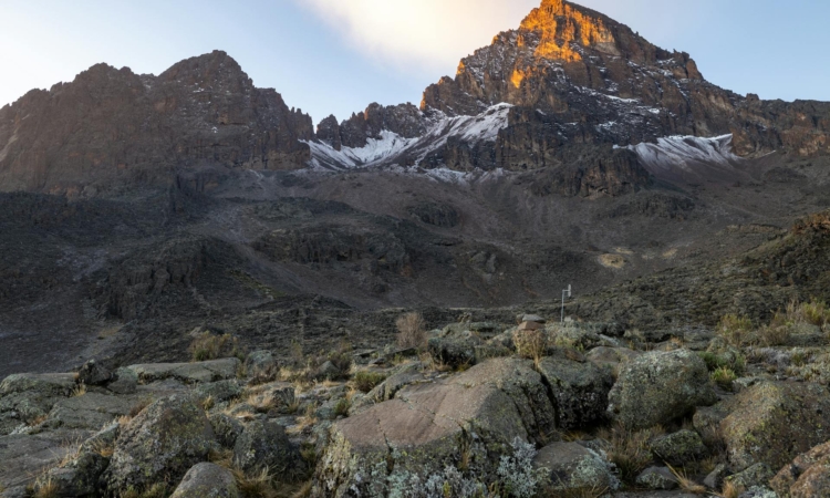 10-Day Bwindi Gorillas & Kilimanjaro Tour