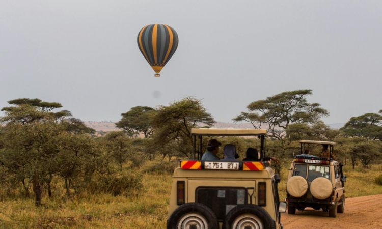 10-Day Rwanda Gorillas, Masai Mara & Serengeti Safari