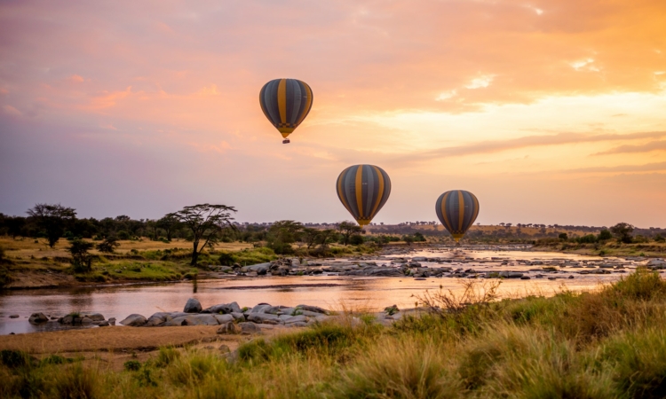 6-Day Bwindi Gorillas & Serengeti Safari