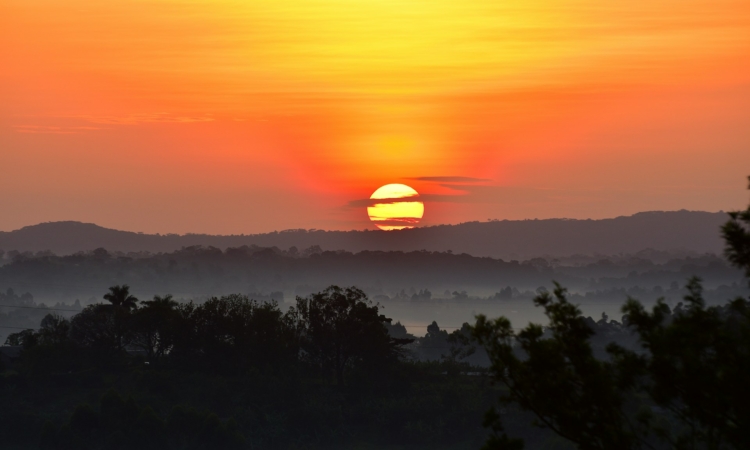 7-Day Uganda Safari - Gorillas, Chimps & Wildlife